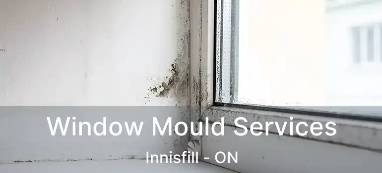  Window Mould Services Innisfill - ON