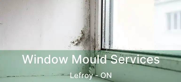  Window Mould Services Lefroy - ON