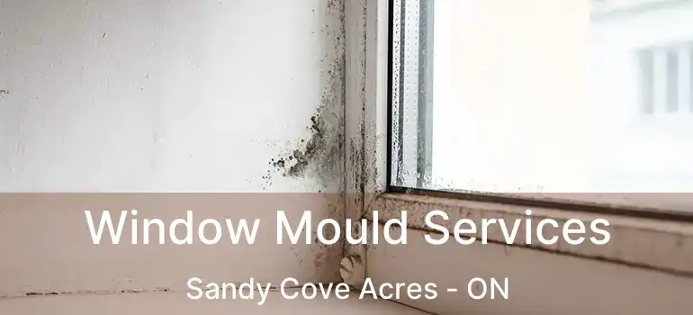  Window Mould Services Sandy Cove Acres - ON