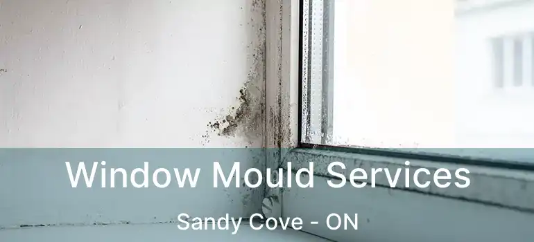  Window Mould Services Sandy Cove - ON