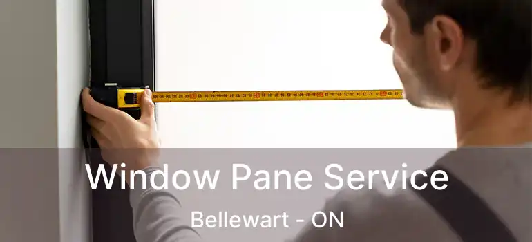  Window Pane Service Bellewart - ON