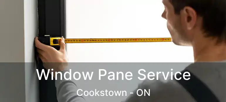  Window Pane Service Cookstown - ON