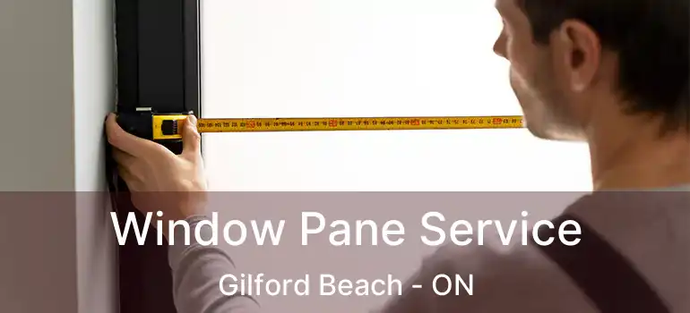  Window Pane Service Gilford Beach - ON