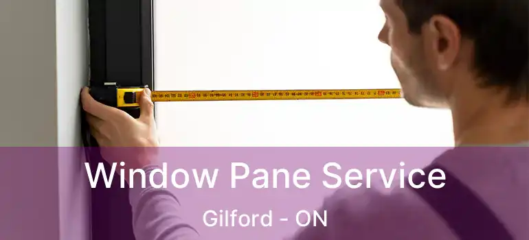  Window Pane Service Gilford - ON