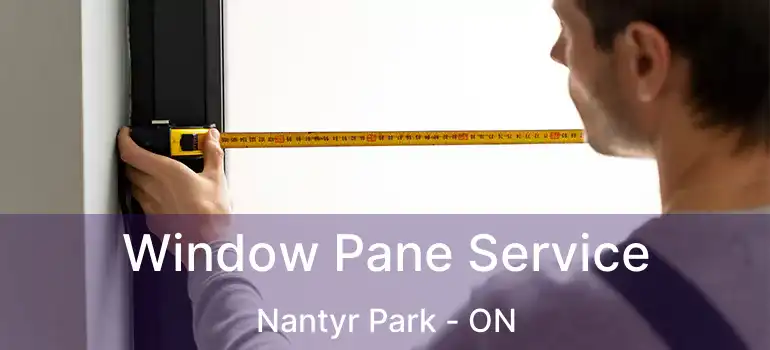  Window Pane Service Nantyr Park - ON