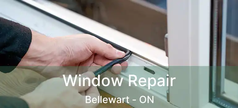 Window Repair Bellewart - ON
