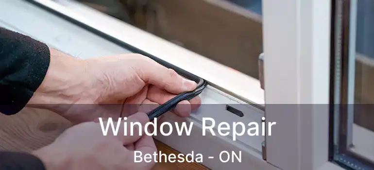  Window Repair Bethesda - ON