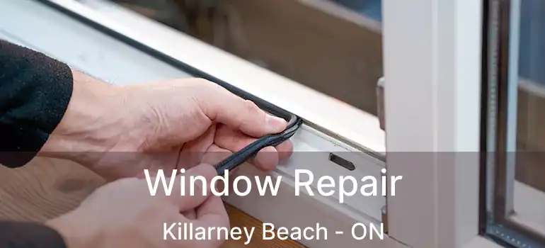  Window Repair Killarney Beach - ON