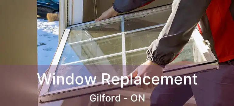  Window Replacement Gilford - ON