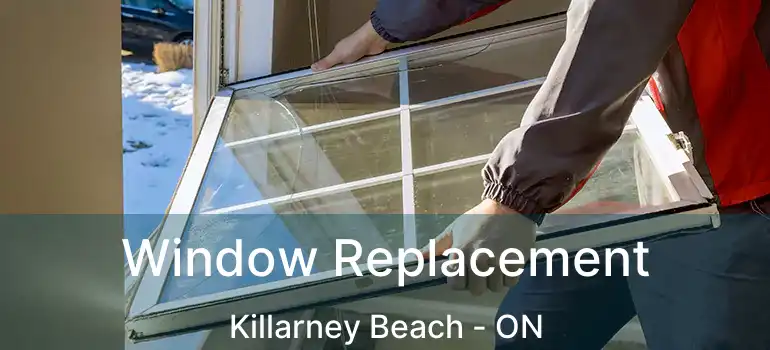  Window Replacement Killarney Beach - ON