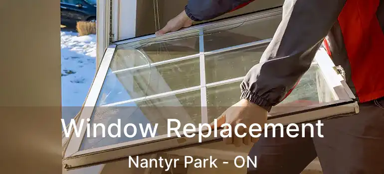  Window Replacement Nantyr Park - ON