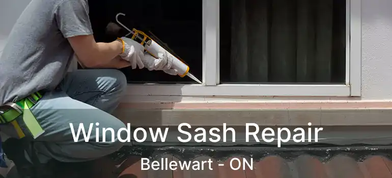  Window Sash Repair Bellewart - ON