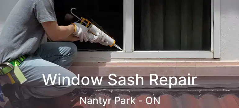  Window Sash Repair Nantyr Park - ON