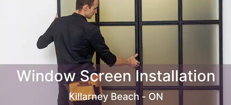  Window Screen Installation Killarney Beach - ON