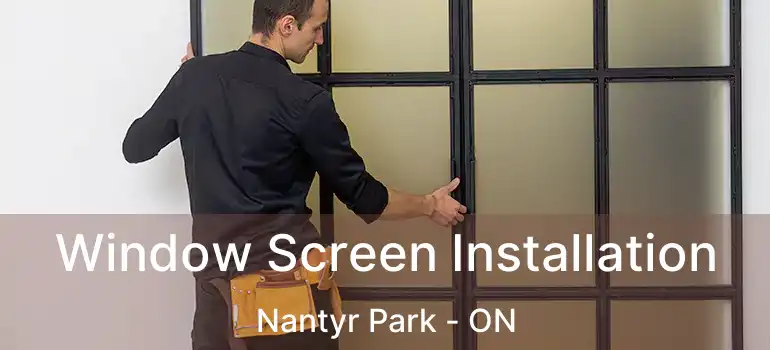  Window Screen Installation Nantyr Park - ON