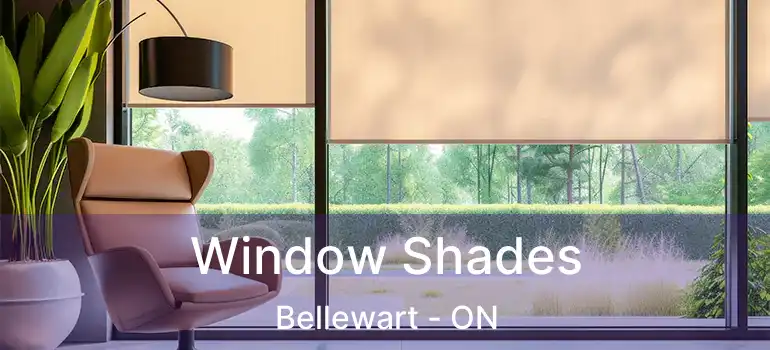  Window Shades Bellewart - ON