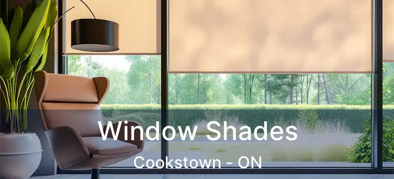  Window Shades Cookstown - ON