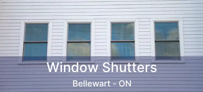  Window Shutters Bellewart - ON