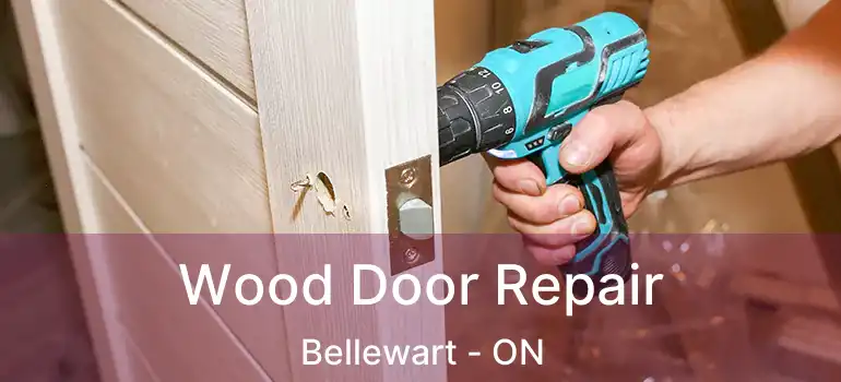  Wood Door Repair Bellewart - ON