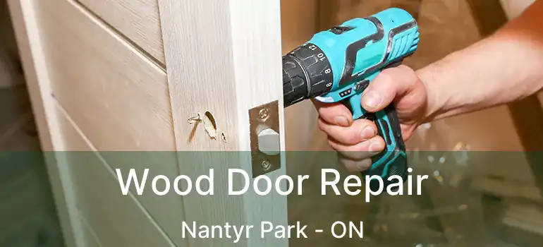  Wood Door Repair Nantyr Park - ON